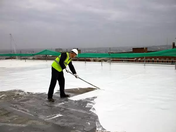 Expert Roof Waterproofing Company in Lahore: Protect Your Home from Water Damage