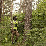 Affordable Tree Service Houston – Quality Work at Budget Prices