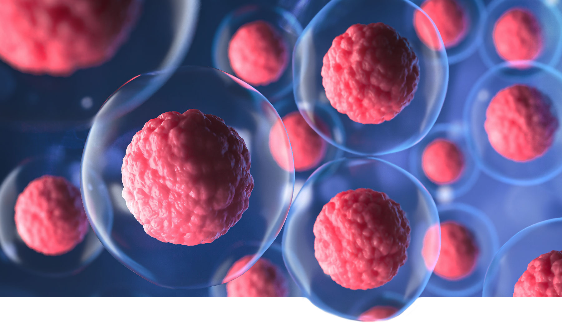 Regrow Your Heart: Cardiac StemCells in Singapore