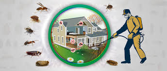 Effective Pest Control Services in Lahore: Your Ultimate Guide to a Pest-Free Home and Business