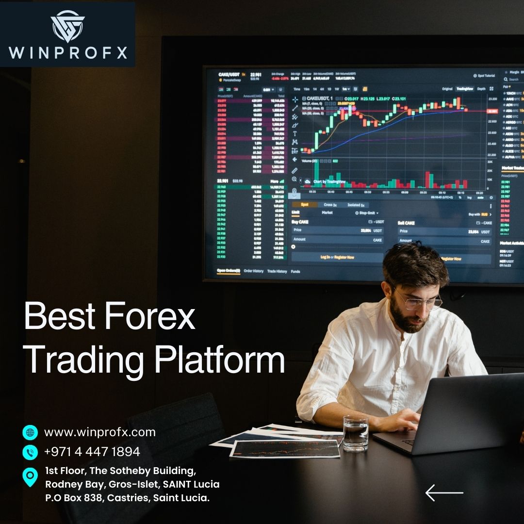 How to Choose the Best Forex Trading Platform?