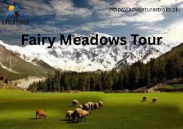 Fairy Meadows Pakistan Tour Package – Explore Nature’s Hidden Gem